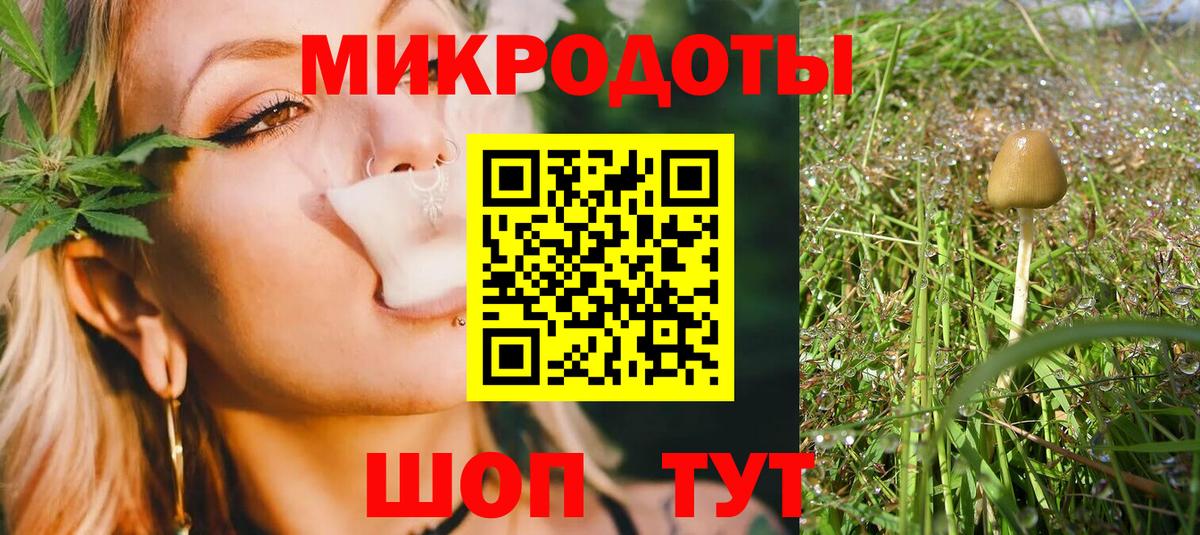 Галлюциногенные грибы ЛСД Новокубанск